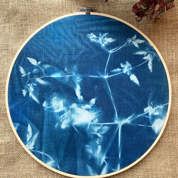 Clematis Plant Cyanotype Embroidery Hoop