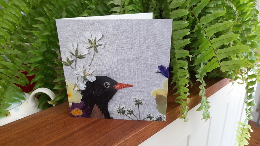 Blackbird Greetings Card 
