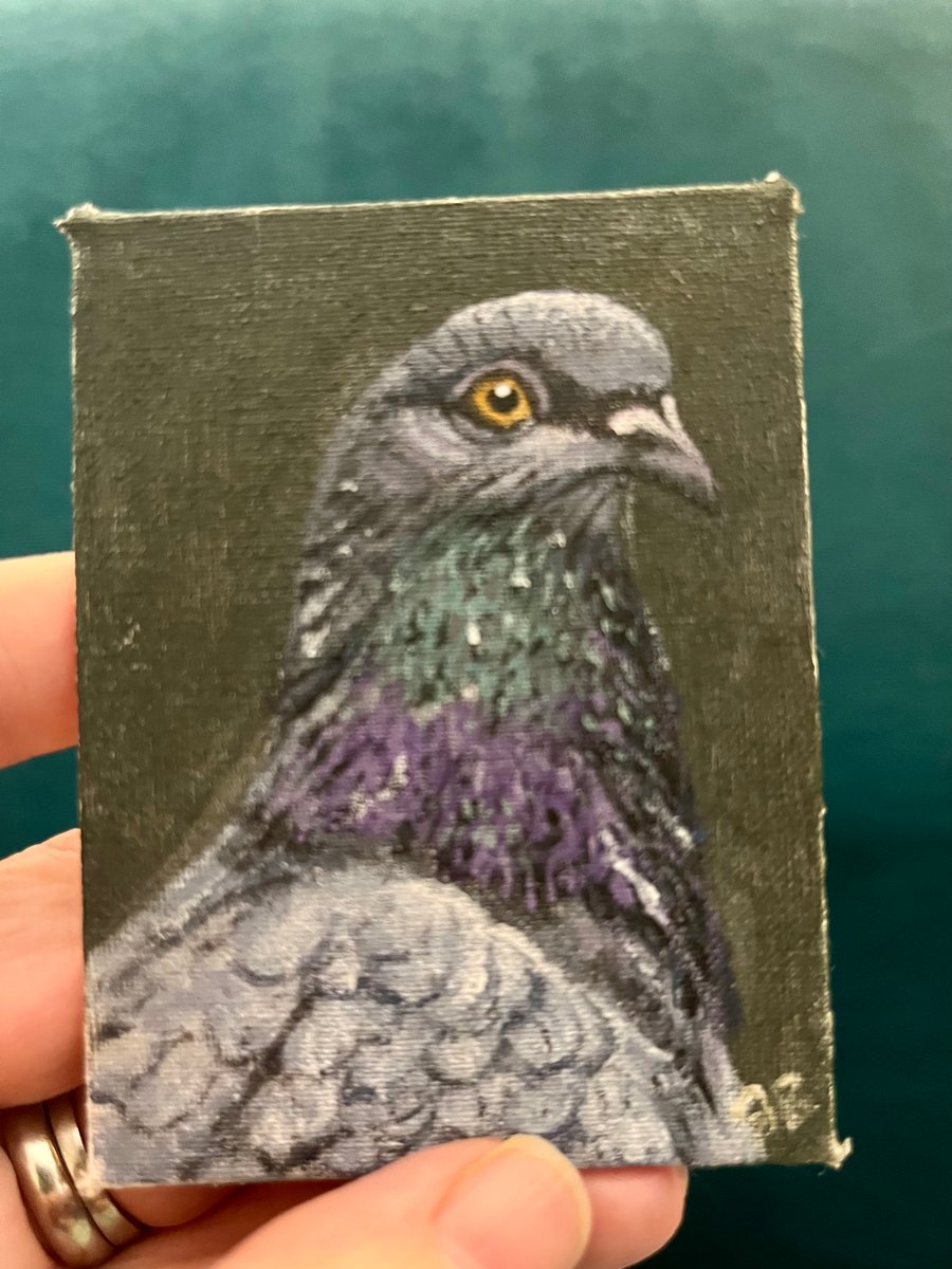 pigeon bird portrait 1 original painting 