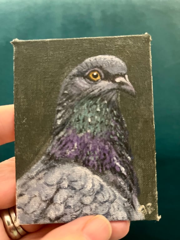 ACEO pigeon bird portrait 1 original painting 