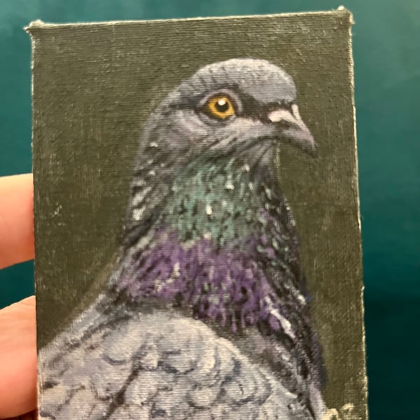pigeon bird portrait 1 original painting 