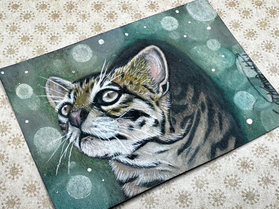 ACEO Original big cat art 'Ocelot' By V Kenworthy