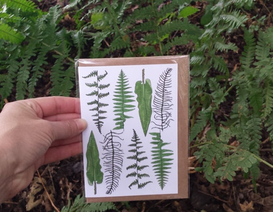 Ferns card
