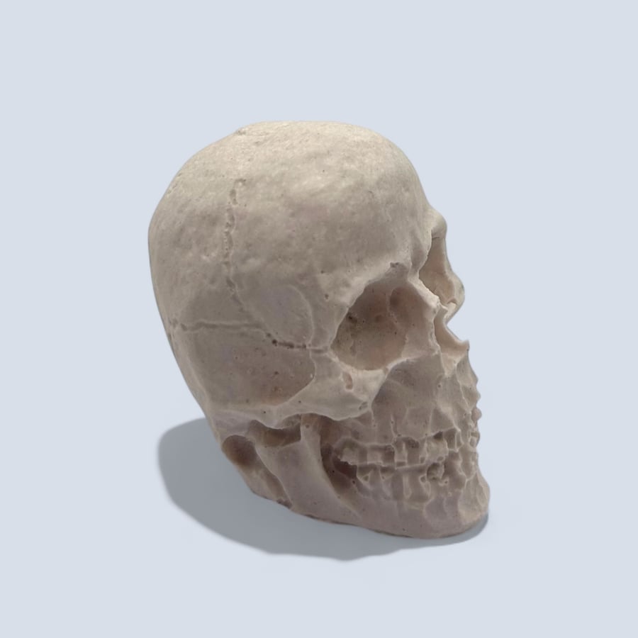 Tiny White Skull - Halloween Decoration Suitable for Painting