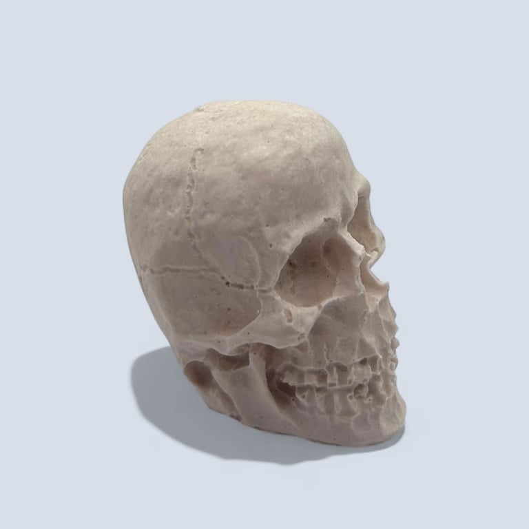 Tiny White Skull - Halloween Decoration Suitable for Painting