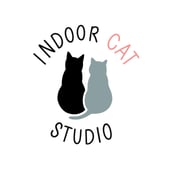 Indoor Cat Studio