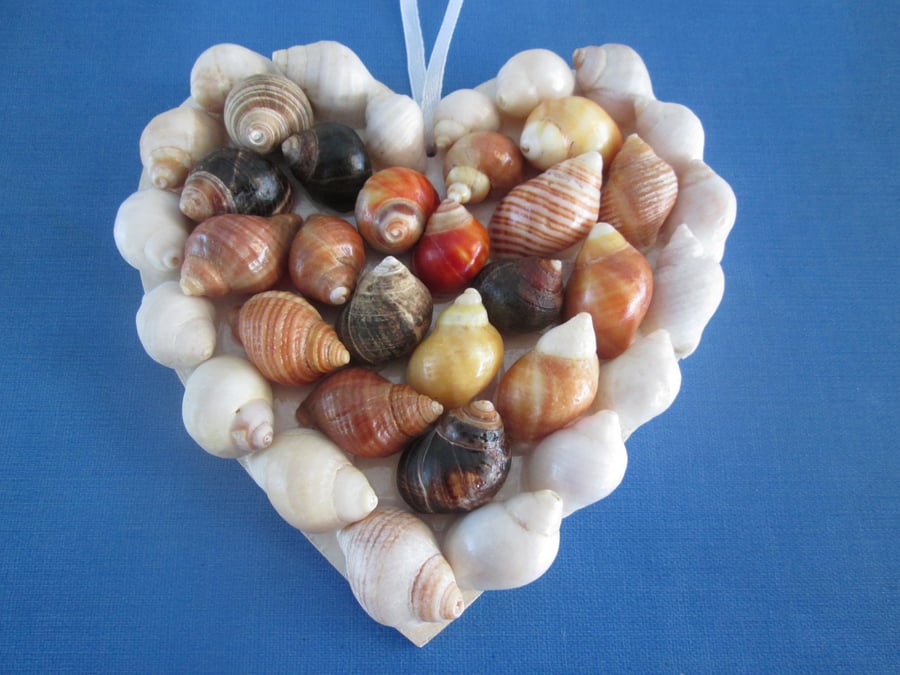 Beautiful Heart shape decorative SHELL art for hanging, great for coastal decor