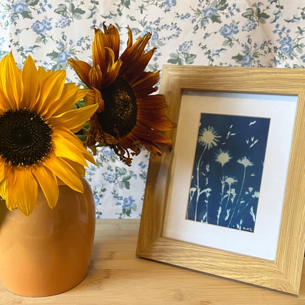 Original Cyanotype of daisies, mounted, ready to frame