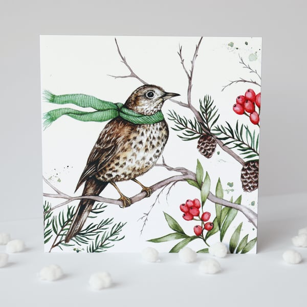 Song Thrush Christmas Card Watercolour Illustration Xmas Greetings Card