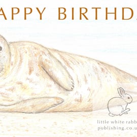 Seal - Birthday Card
