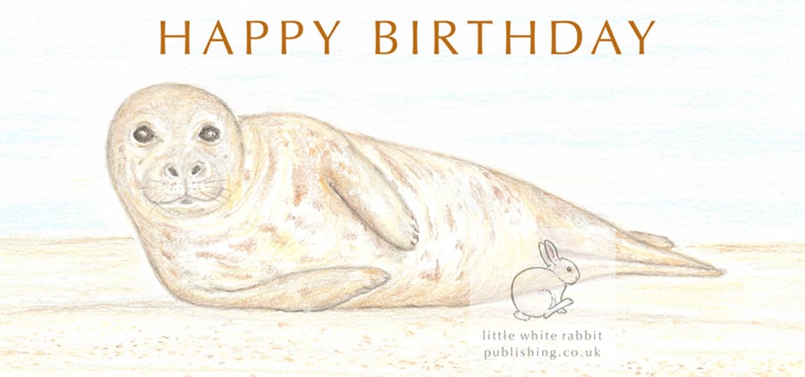 Seal - Birthday Card