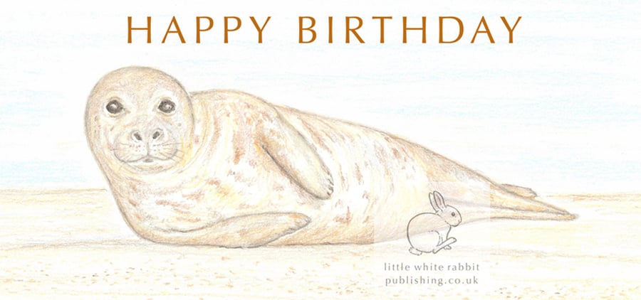 Seal - Birthday Card