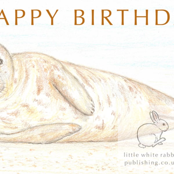 Seal - Birthday Card