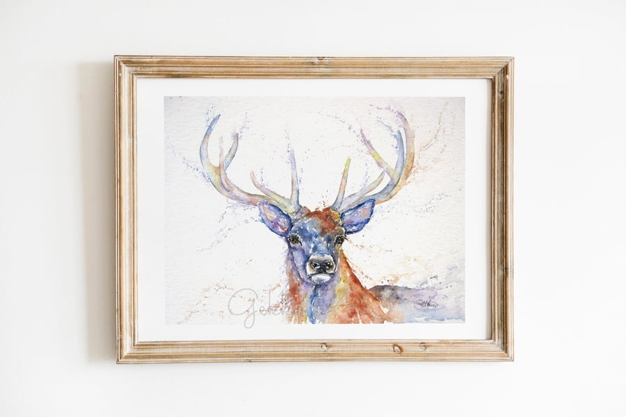 Stag 'Monarch', A Fine Art Print from an Original Watercolour Painting