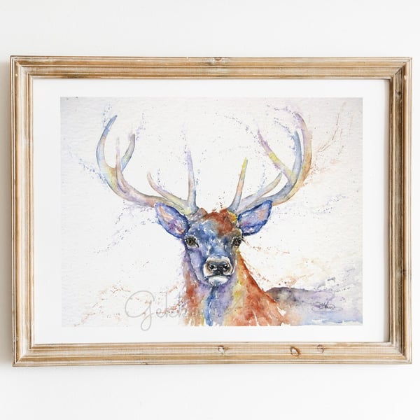 Stag 'Monarch', A Fine Art Print from an Original Watercolour Painting