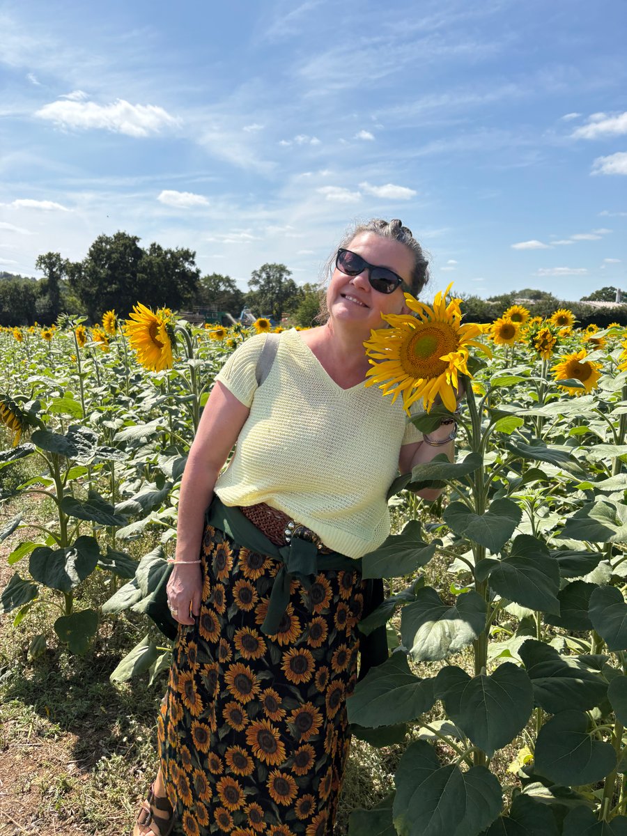 Gabymoo Sunflowers