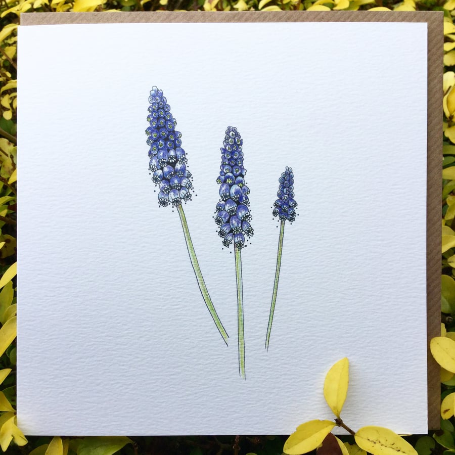 Beautiful Muscari greeting card 