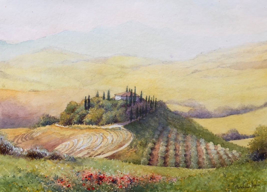 Tuscan Poppies. Orcia Valley . Tuscany .Original Watercolour 