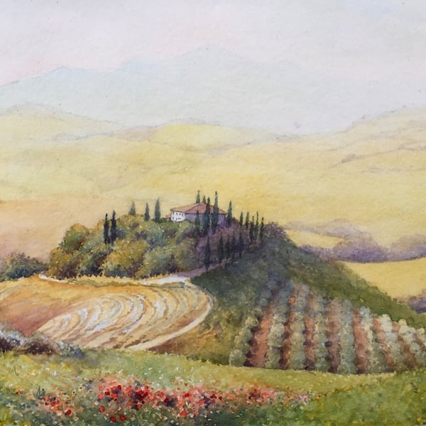 Tuscan Poppies. Orcia Valley . Tuscany .Original Watercolour 