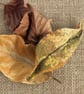 Felted leaf brooch : yellow - Image 2