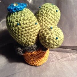Crocheted cactus knitted pin cushion