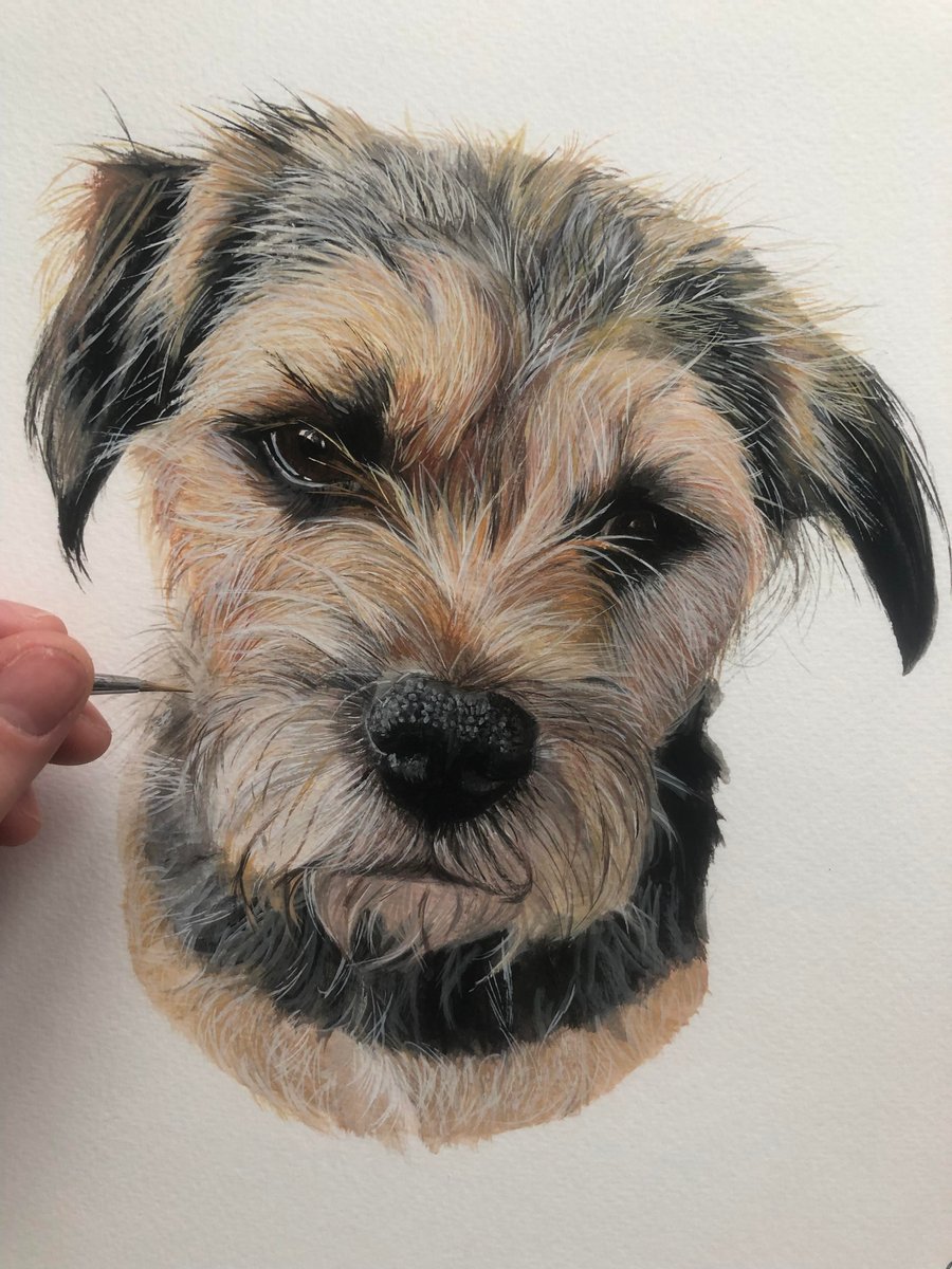 Custom Pet Portrait, Size A5. Mounted size 10 x 12 inches