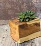 Plant Holder made from beautiful up-cycled wood - Image 3