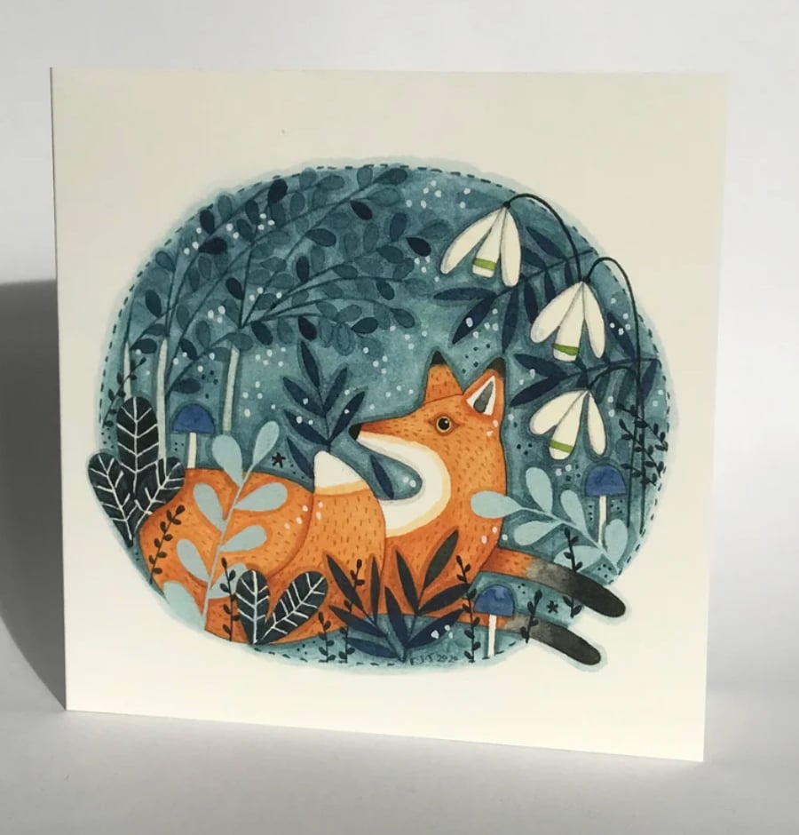 Snowdrop Fox