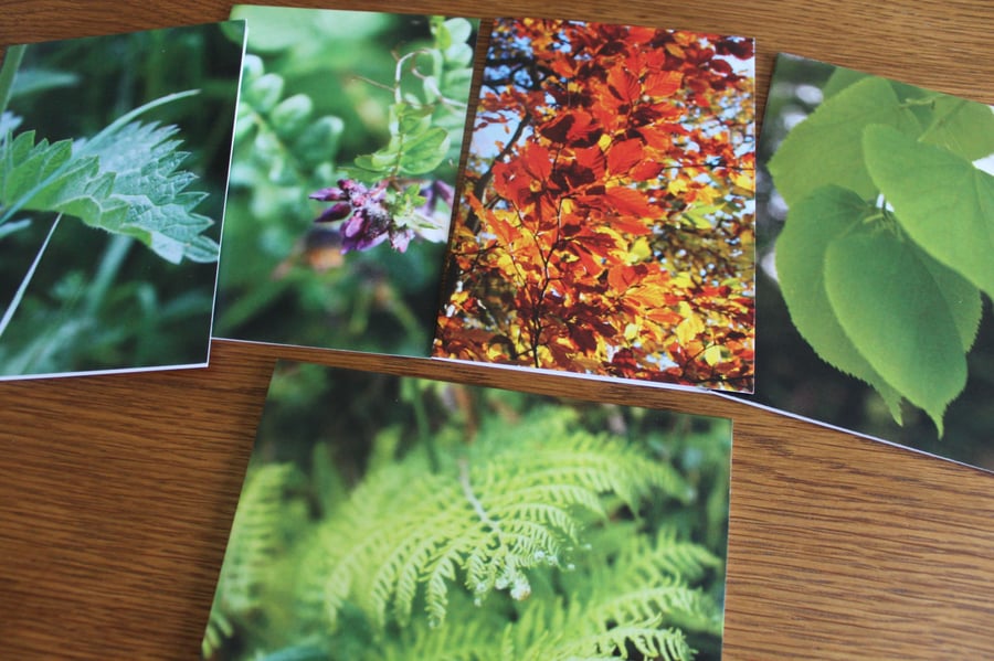 Set of Nature Greetings Cards (SET of 5)