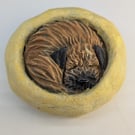 Border Terrier Yorkshire Pudding - 3