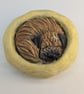 Border Terrier Yorkshire Pudding - 3 - Image 1