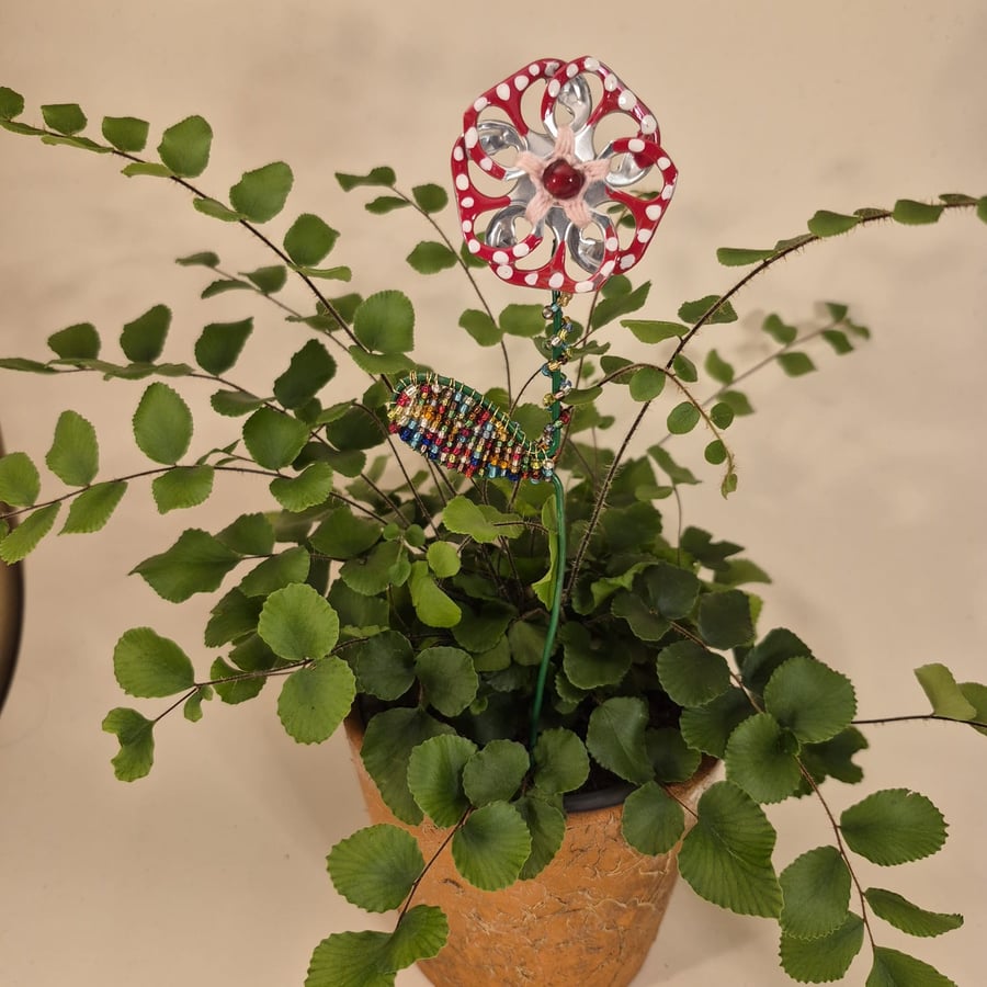 Red w white spots & pink flower plant companion perfect for pot plants
