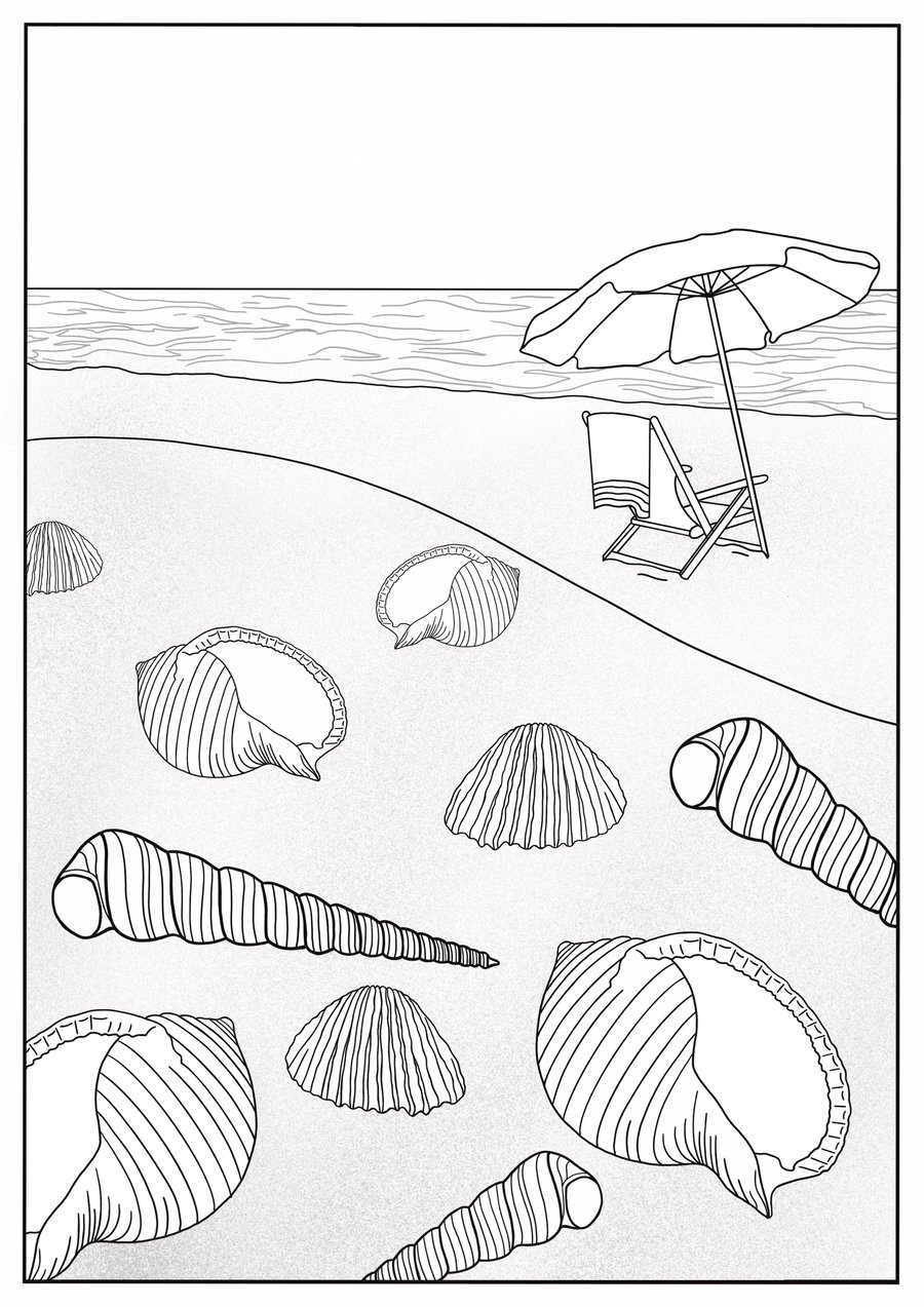 Shells on the Beach Colouring-in Sheet - printable pdf
