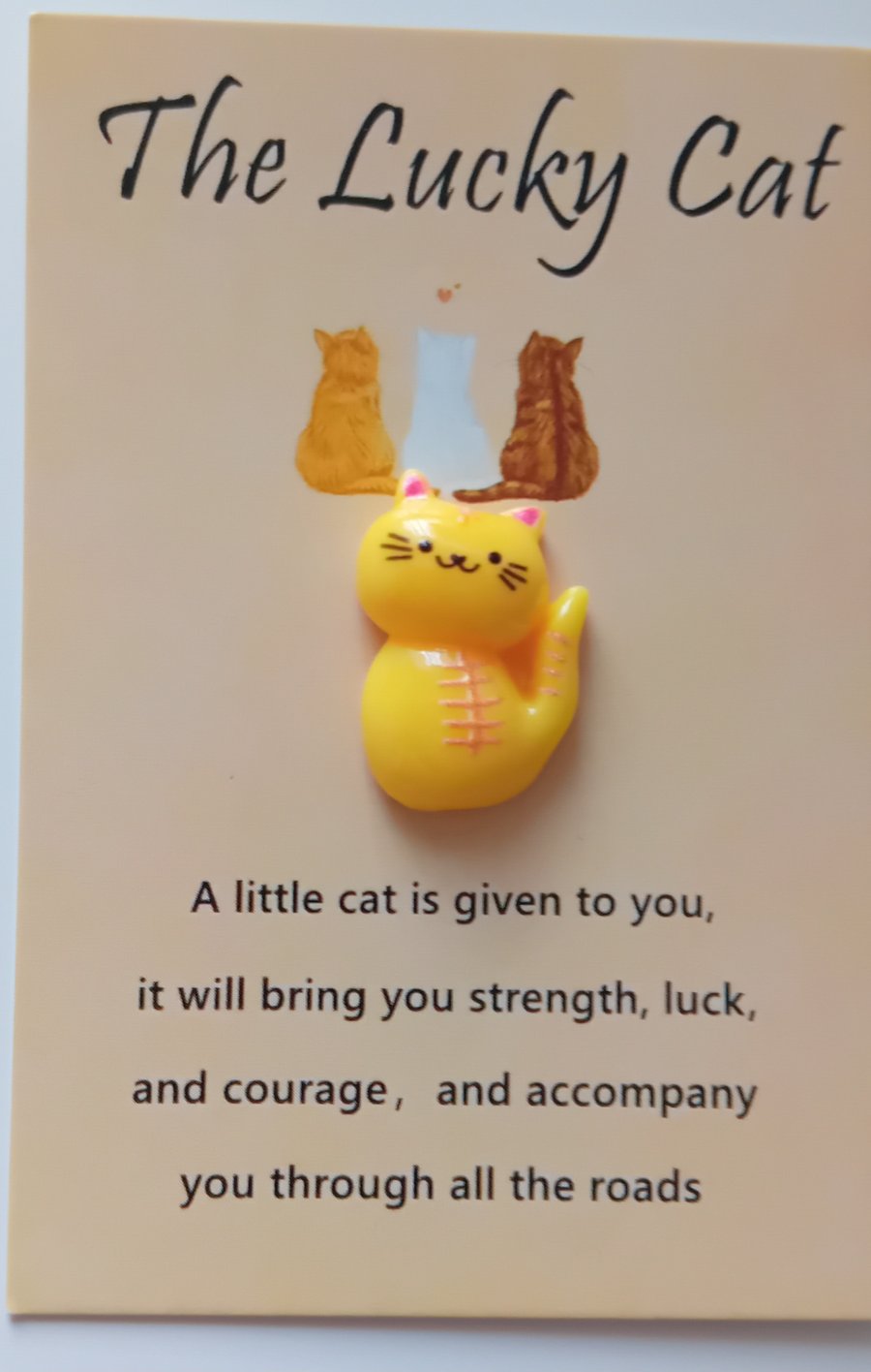 Pocket Hug Lucky Cat