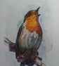 ,SINGING ROBIN, watercolour and fine liner, PRINT,