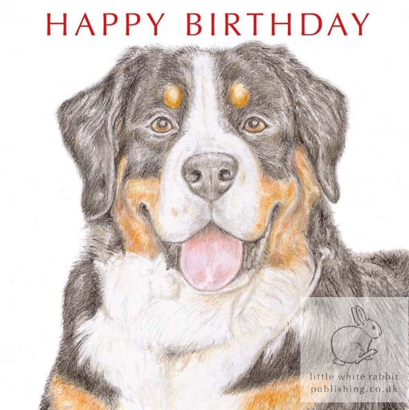 Loki the Bernese Mountain Dog - Birthday Card