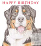 Loki the Bernese Mountain Dog - Birthday Card - Image 1