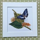 Unique Handcrafted Collage of a Purple Emperor Butterfly and quirky Botanicals