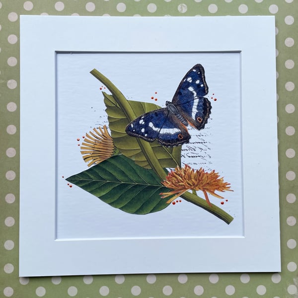 Unique Handcrafted Collage of a Purple Emperor Butterfly and quirky Botanicals