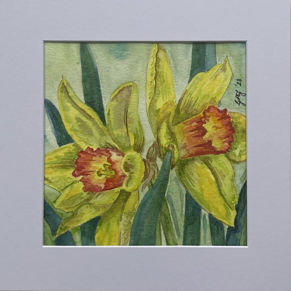 Two Daffodils