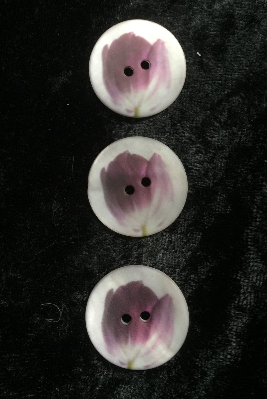 Shell Purple Tulip Button