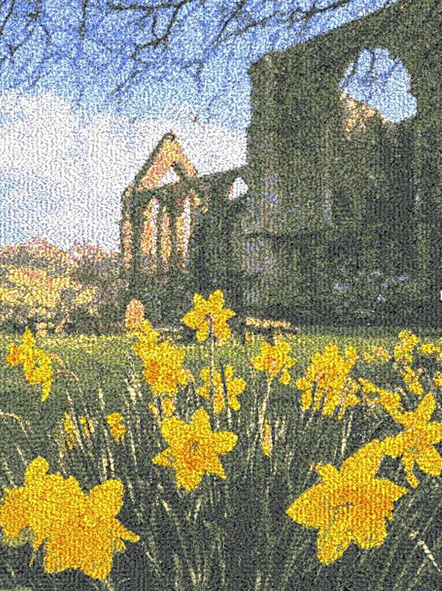 Daffodils at Bolton Abbey. Beautiful, mounted, machine embroidered work of art.