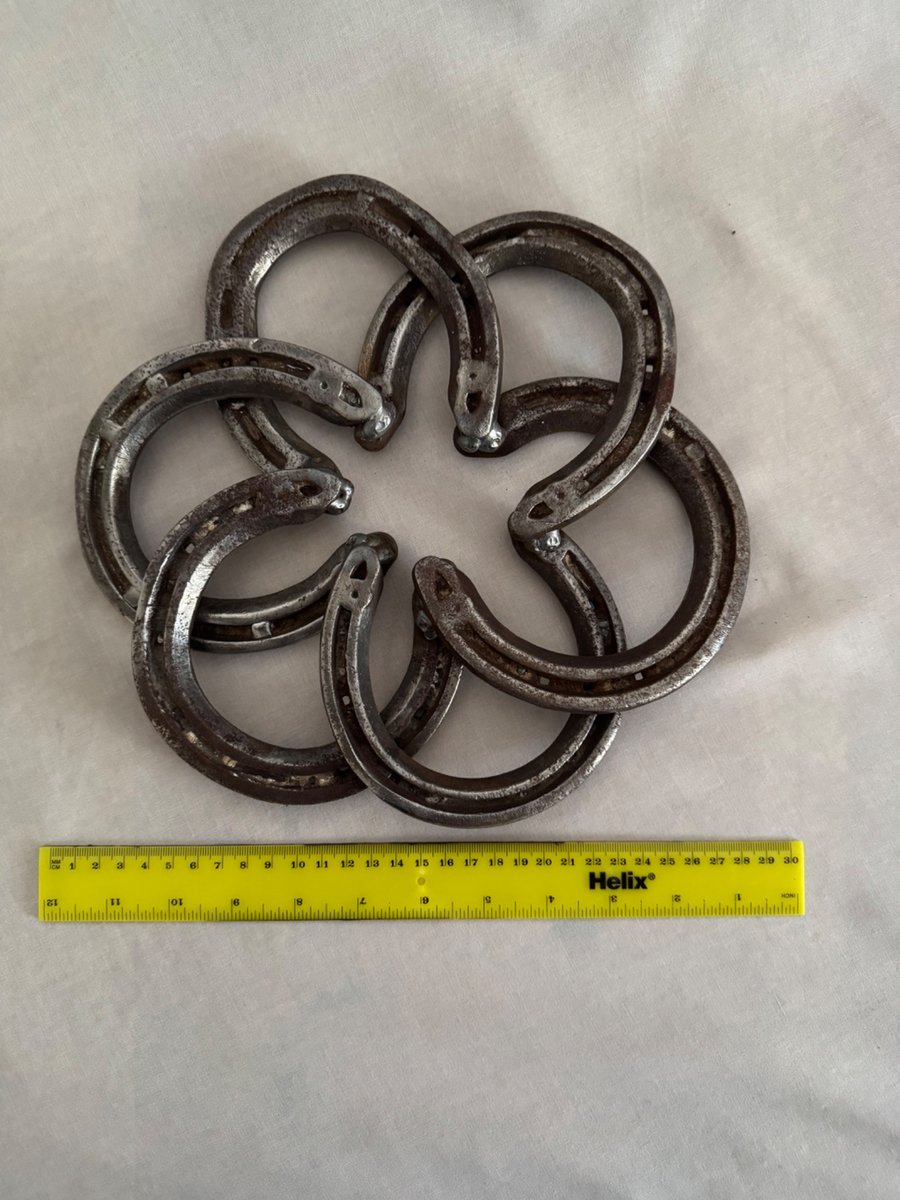 Horse shoe ring