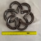 Horse shoe ring