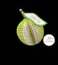 Personalized Lime Book Gift - Image 3