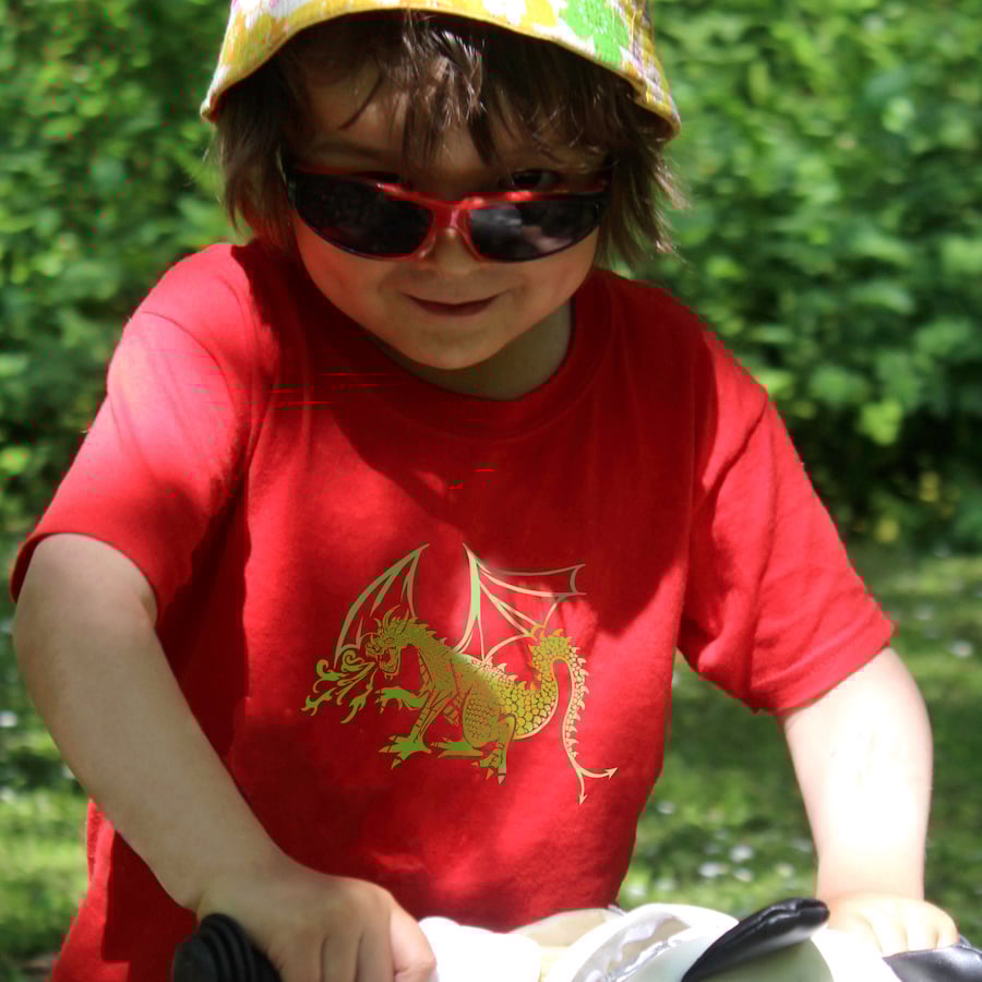 DRAGON Kids T shirt 
