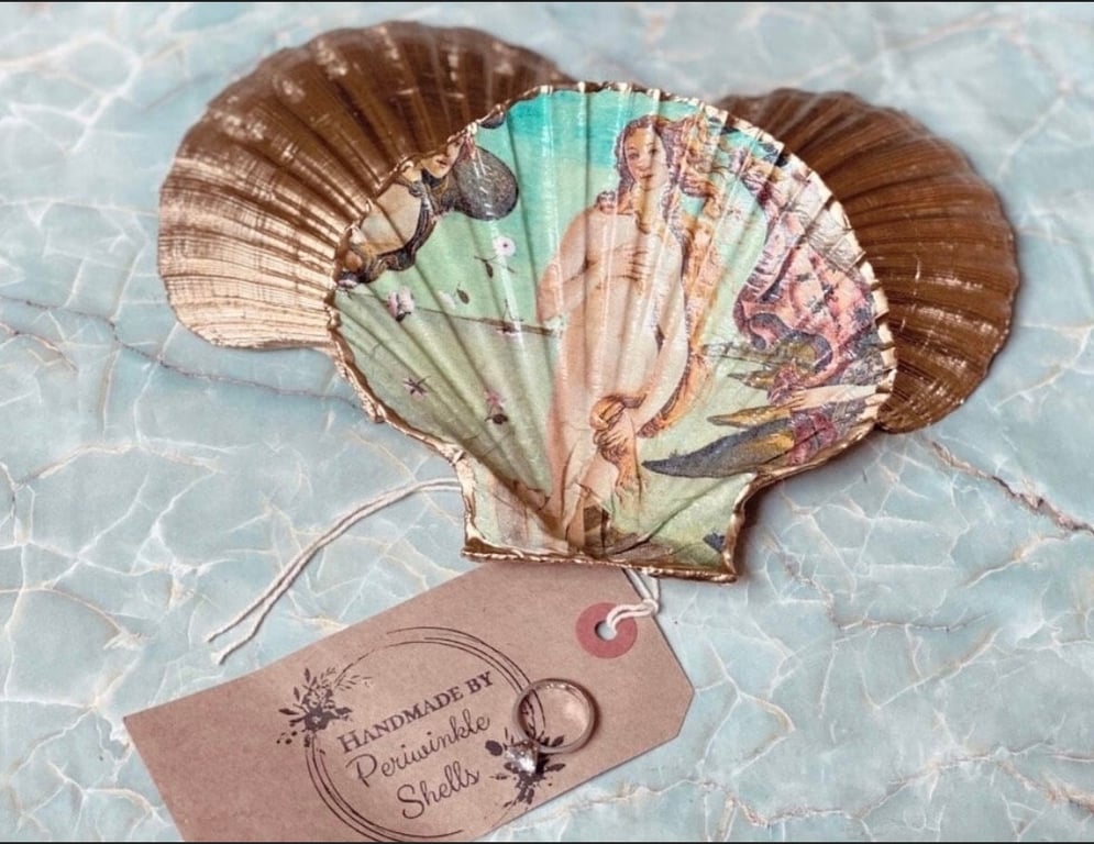 Birth of Venus scallop design 