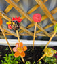 Cane Tops - Image 1
