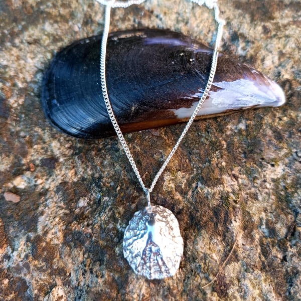 Large Silver Limpet Shell Pendant - Recycled Silver Necklace
