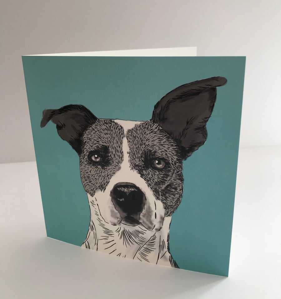 Dog on Turquoise Card, Pet Card, Dog Drawing Card 
